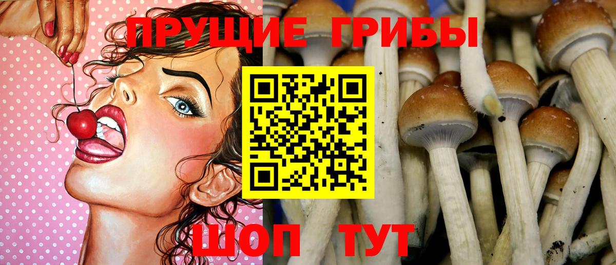 Галлюциногенные грибы MAGIC MUSHROOMS Баксан