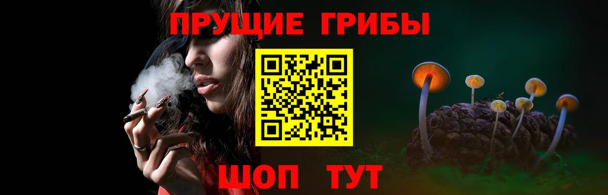 Псилоцибиновые грибы прущие грибы  Вход с VPN  Баксан 
